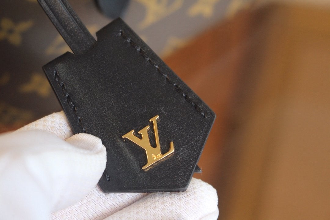 LV VANITY PM 19 TOILE MONOGRAMME 
