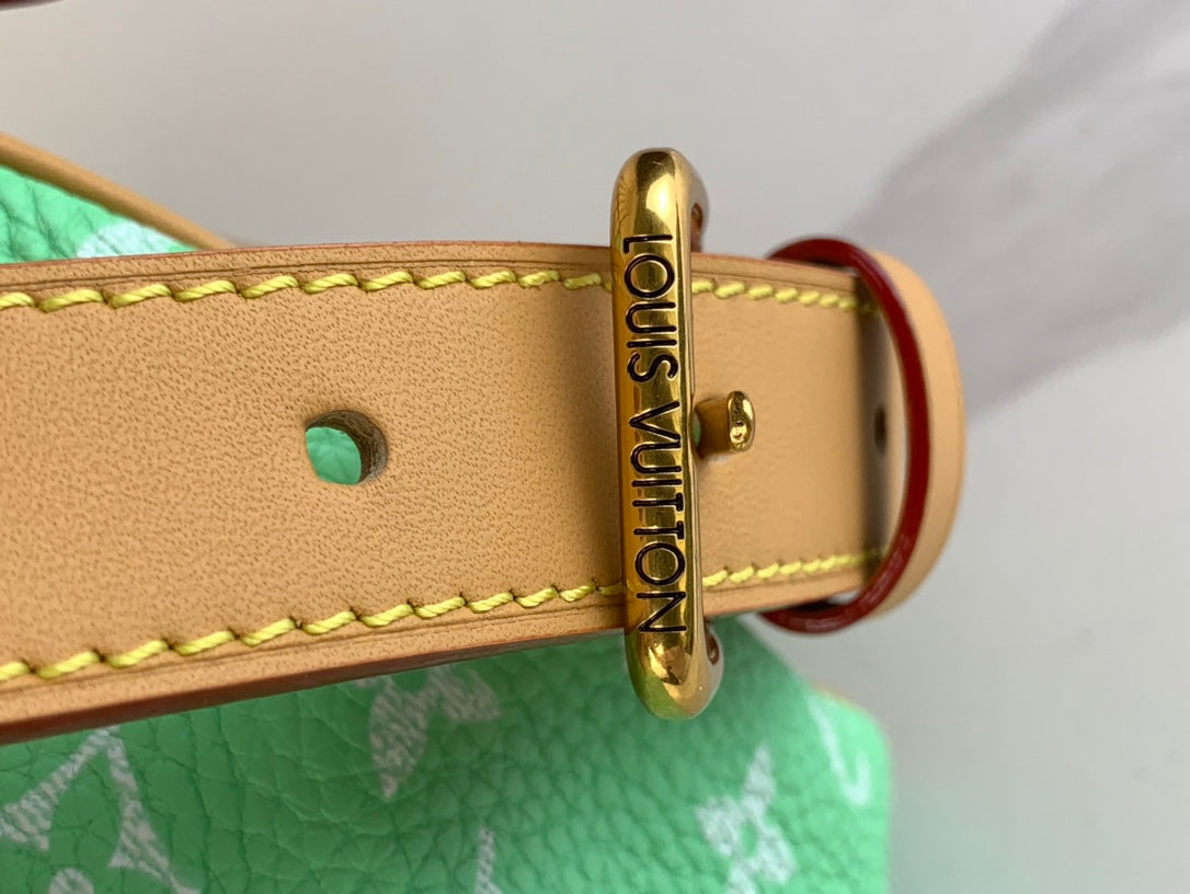 SPEEDY P9 BANDOULIÈRE 25 EN CUIR DE VEAU MONOGRAMME VERT ÉMERAUDE