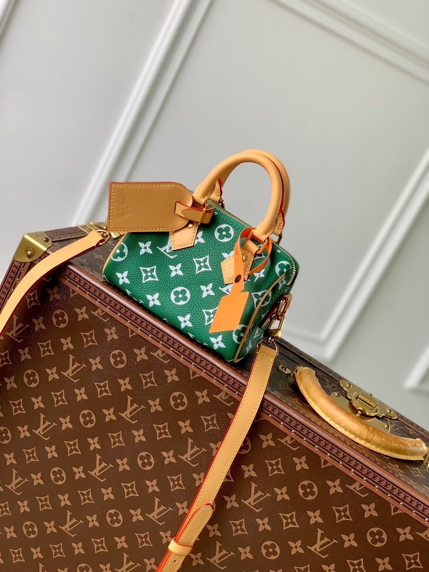 Speedy P9 Bandouliere 18 cm en cuir de veau vert