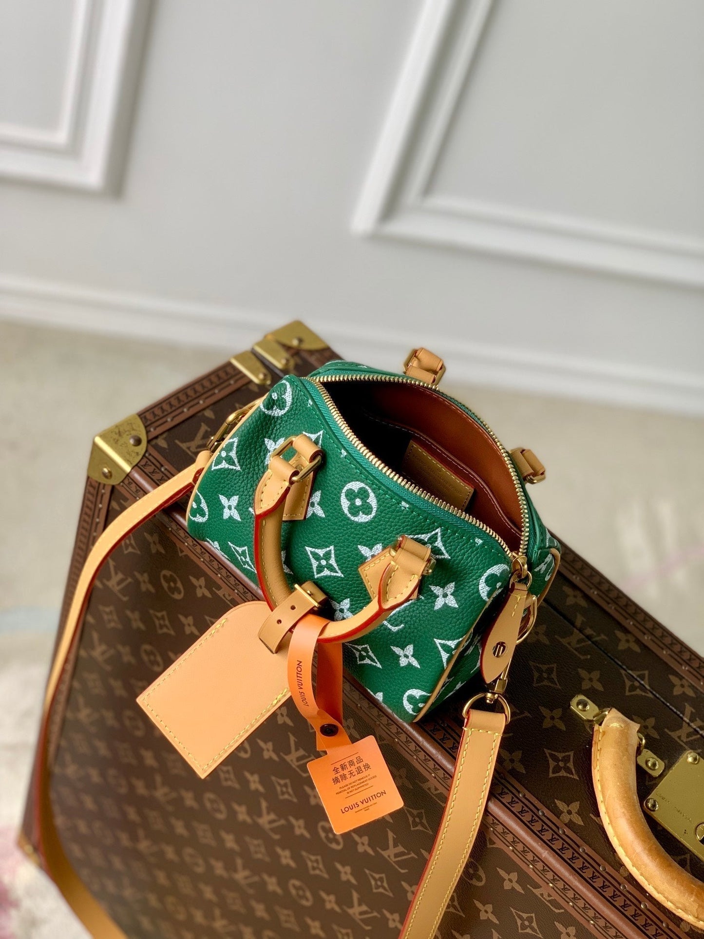 Speedy P9 Bandouliere 18 cm en cuir de veau vert
