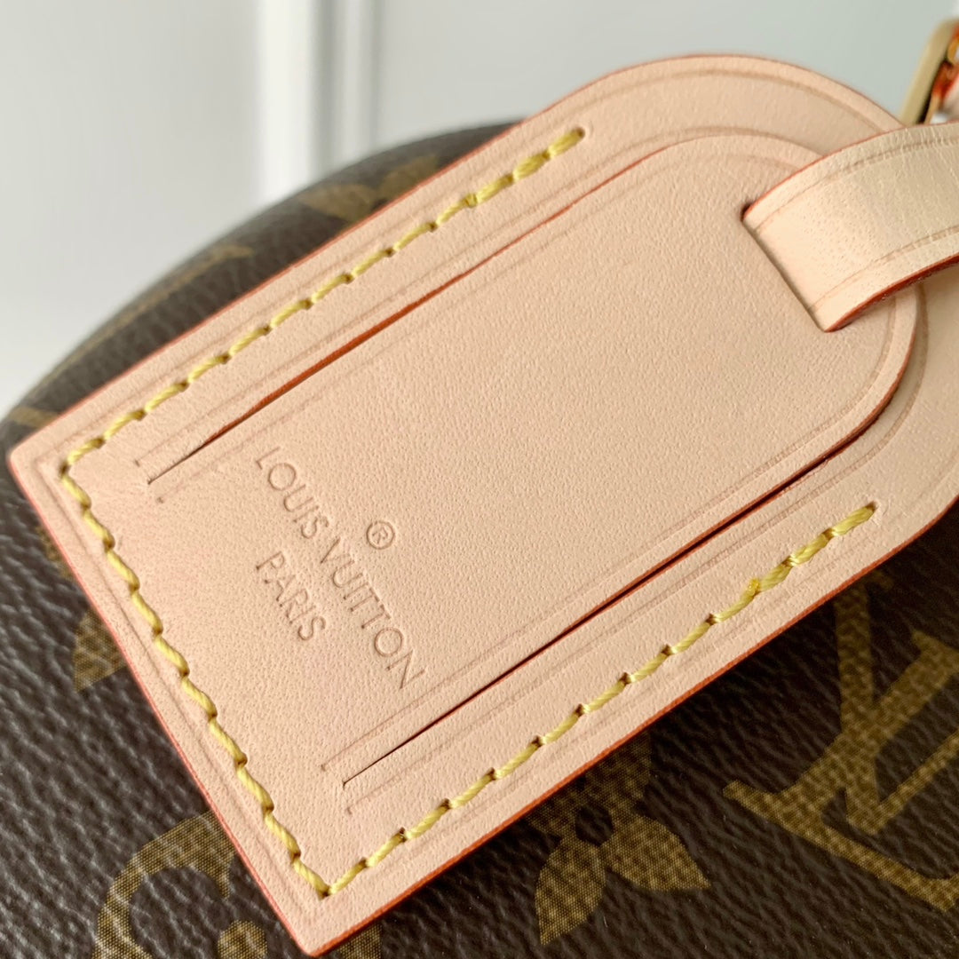 Malle LV Alma 26 Marron Monogram