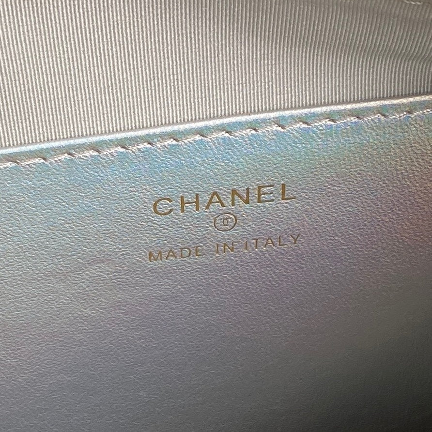 CC 25C クラッチバッグ ストラップ付き 21cm シルバーメタリックカーフスキン